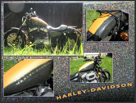 Harley-Design--nderung